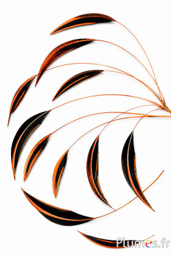 Ente Mandarin - 15-20 cm - aztekengold